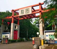 龙园15