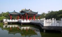 龙园8