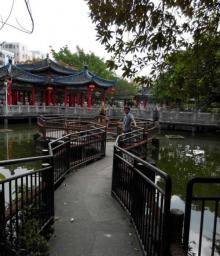 龙园20