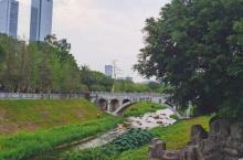 中心公园23