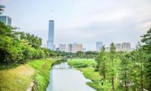 中心公园9