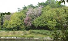 笔架山公园14