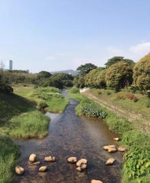 笔架山公园6