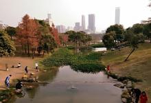 笔架山公园12