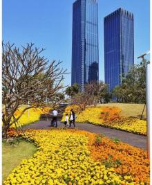 前海石公园19