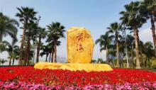 前海石公园10