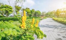 深圳湾公园-运动公园1