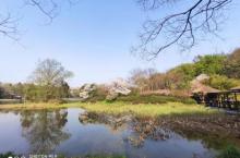 求水山景区28