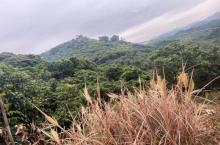 羊台山森林公园9
