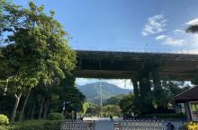 羊台山森林公园15
