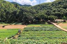 羊台山森林公园16