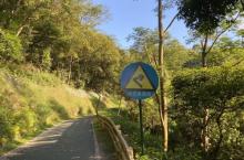 羊台山森林公园13