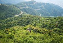 羊台山森林公园12