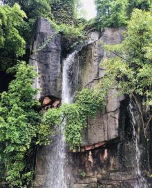 中山公园19