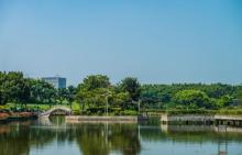 中山公园15