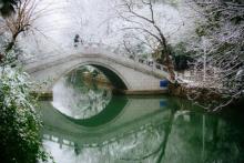 中山公园12