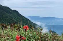 大鹏半岛地质公园8