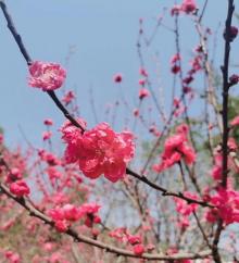 大鹏半岛地质公园11