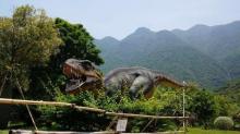 大鹏半岛地质公园4