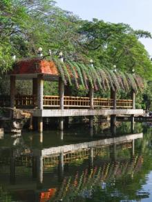 东湖公园4