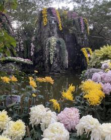 东湖公园6