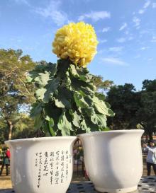东湖公园21