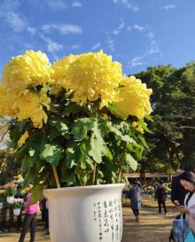 东湖公园23