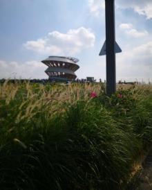光明欢乐田园10