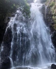 马峦山郊野公园13
