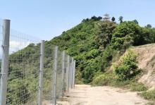 马峦山郊野公园16