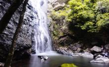 马峦山郊野公园4