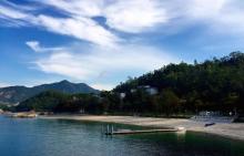 沙鱼涌24