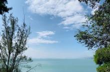 沙鱼涌13