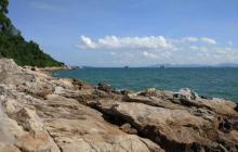 沙鱼涌16
