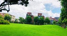 玫瑰小镇9