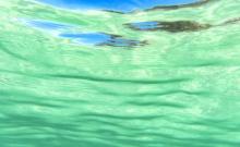 西涌海滩7