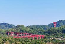 虹桥公园7