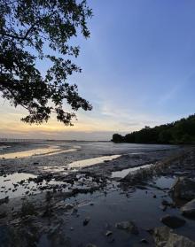 宝安西湾红树林公园9