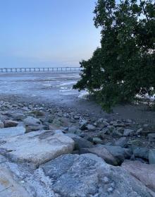宝安西湾红树林公园7