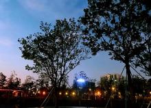 宝安西湾红树林公园13
