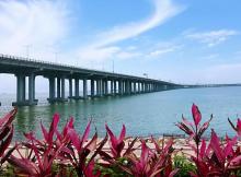宝安西湾红树林公园15