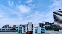 宝安西湾红树林公园12