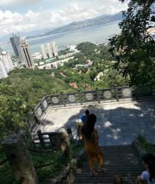 南山公园22