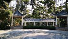 南山公园7