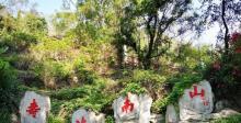 南山公园9