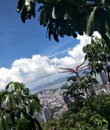南山公园21