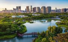 福田红树林生态公园3