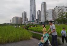 深圳人才公园30