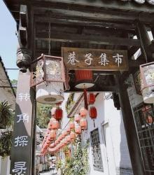 荷兰花卉小镇29