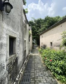 观澜版画村27